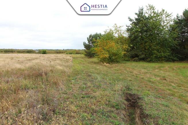 Duża działka z linią brzegową jeziora Miedwie