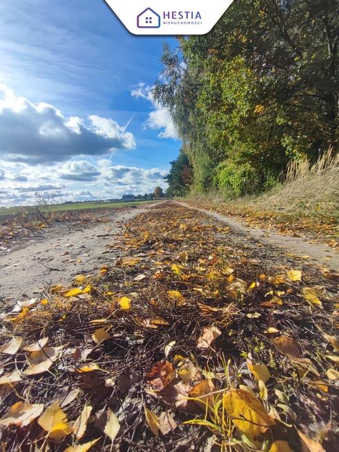 Tylko 85 zł za m2 działki w Grabowie