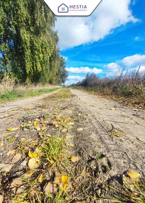 Tylko 85 zł za m2 działki w Grabowie