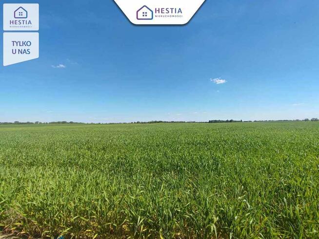 Tylko 75 zł/ m2 - działki pod Stargardem