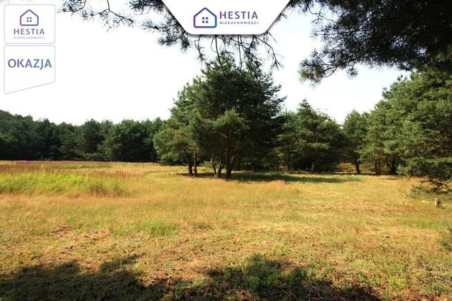 Duża działka przy lesie w Wielgowie
