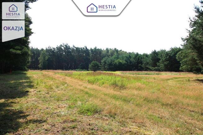 Duża działka przy lesie w Wielgowie