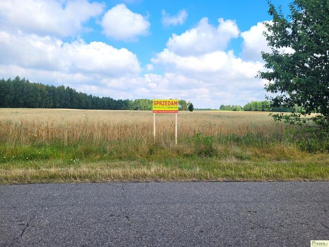 Działka rolno-budowlana Strzyżew gm. Łuków