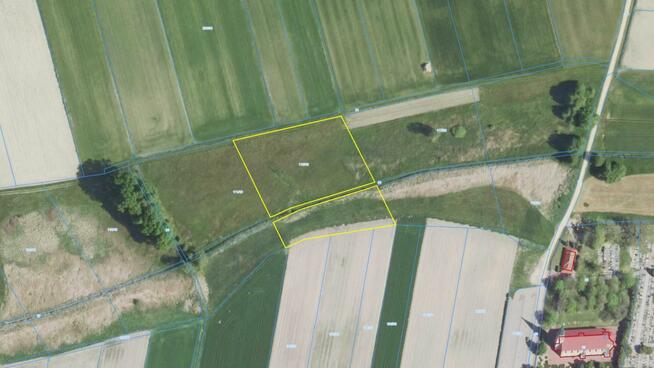 Działka rolna Sieraków Śląski gm. Ciasna, Wyzwolenia