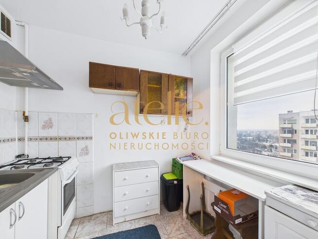 Twoje miejsce między lasem a morzem!