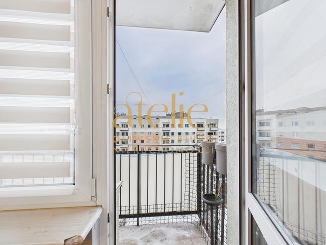 Twoje miejsce między lasem a morzem!