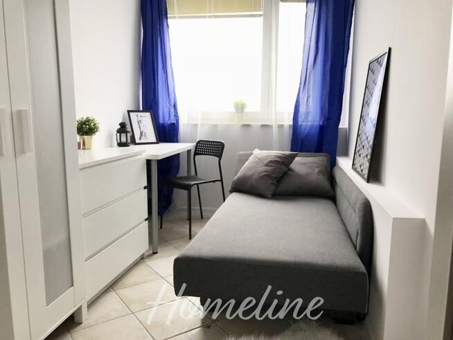 Nowy dwór / Balkon/ Piwnica