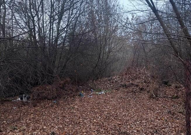 syndyk sprzeda udział w działce