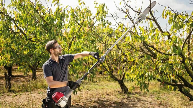 Koszenie trawy, nieużytków, kosiarka bijakowa, karczowanie