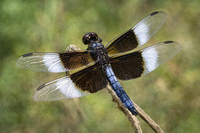 Spływ kajakowy Krutyń – Ukta | AS-TOUR Mazury