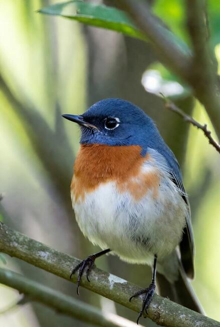 Spływy Krutynią z AS-TOUR  Krutyń oraz Ukta