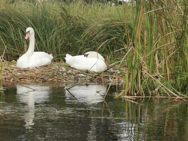 Spływy Krutynią z AS-TOUR Krutyń oraz Ukta