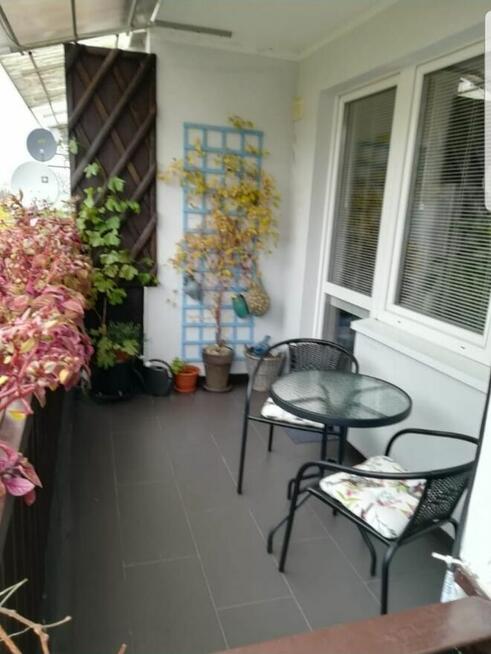 Mieszkanie 60m 3 pokoje 1 piętro duży balkon blisko lasu