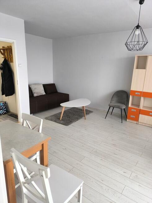 Kawalerkę w wieżowcu wynajmę, Częstochowa okolice Vendo