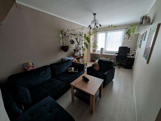 Mieszkanie 60m 3 pokoje 1 piętro duży balkon blisko lasu