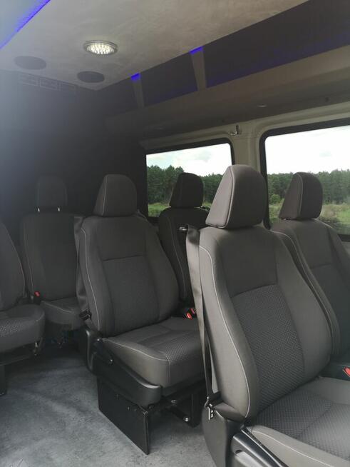 Przewozy międzynarodowe Niemcy Holandia Belgia