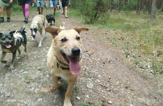 Pamiętacie jeszcze może Zgrywuska????? W tym roku wybija mu 10