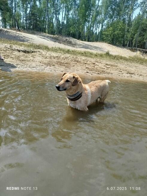 Pamiętacie jeszcze może Zgrywuska????? W tym roku wybija mu 10