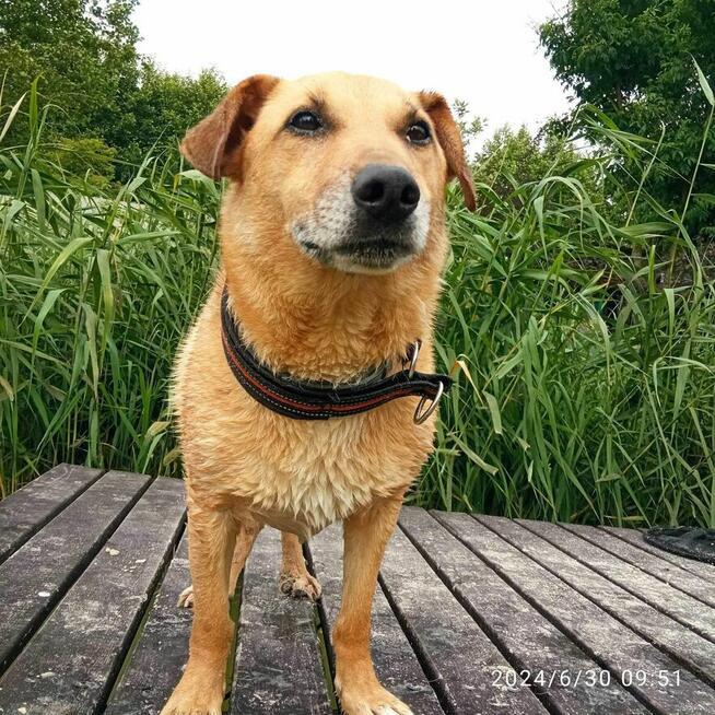 Pamiętacie jeszcze może Zgrywuska????? W tym roku wybija mu 10