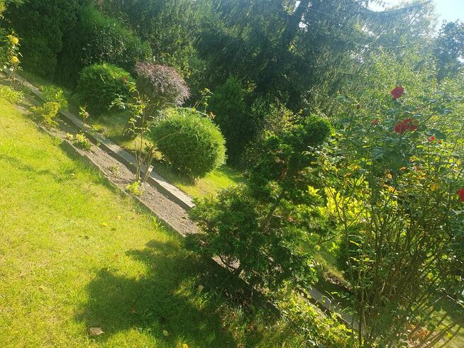 Działka Rod Cybinka Poznań