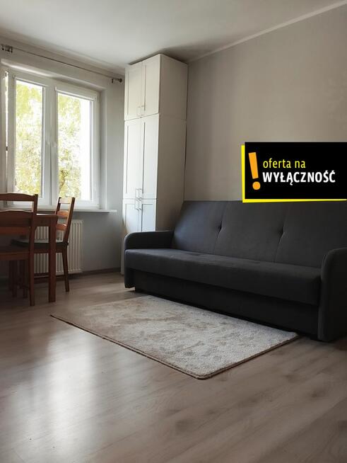 Mieszkanie Poznań gm. Poznań-Stare Miasto Winogrady, Kosmonautów