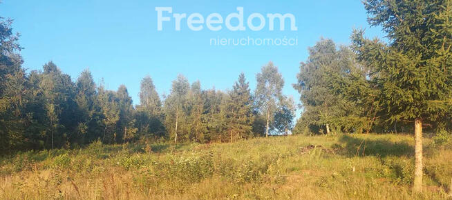 Działka z WZ pod siedlisko z kawałkiem lasu !