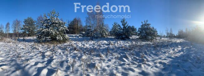 Urocza działka budowlana na wzniesieniu !