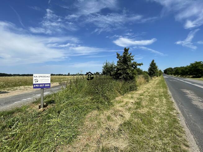 Działka Charzyno gm. Siemyśl