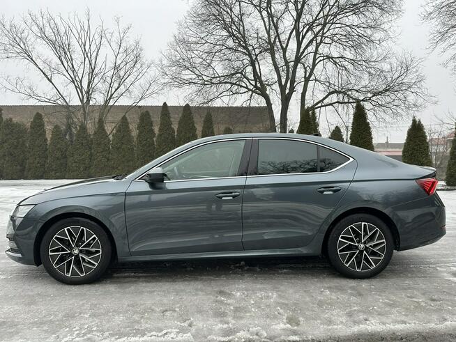 Škoda Octavia 2022r 2.0 TDI 150KM Automat Matrix Navi Virtual DCC HEAD UP ACC DSG