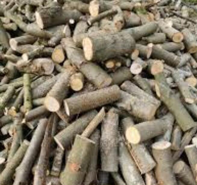 Drewno Kominkowe I Gałęziówka Buk Dąb Grab Brzoza Sosna