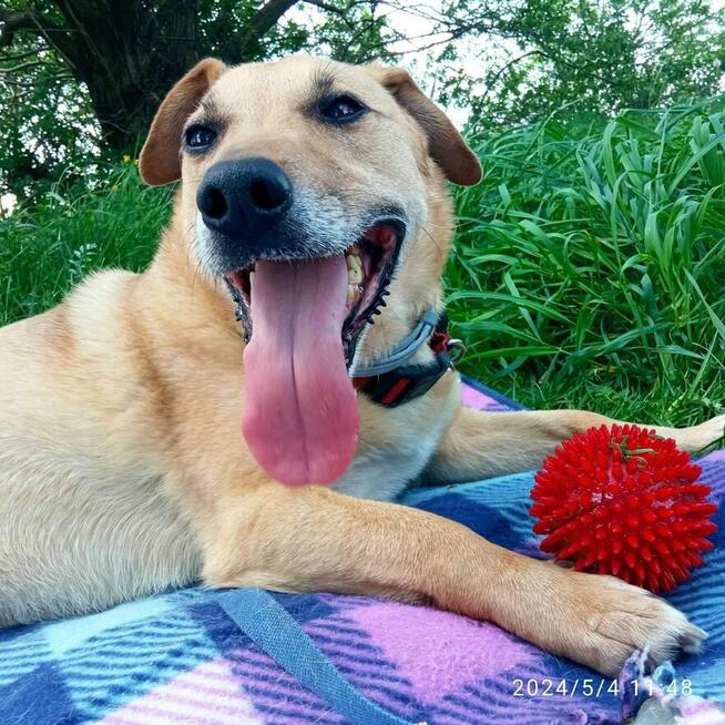 Pamiętacie jeszcze może Zgrywuska????? W tym roku wybija mu 10