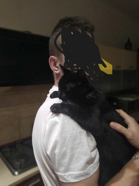 Szukam kogoś bliskiego dyskretnego i wyjątkowego