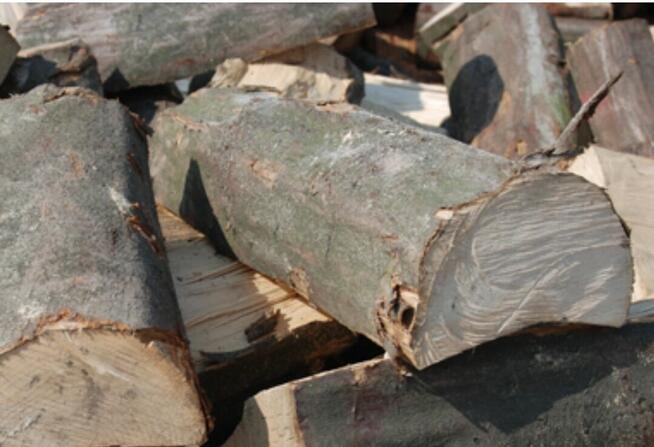 Drewno Kominkowe I Gałęziówka Buk Dąb Grab Brzoza Sosna