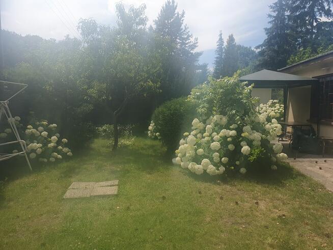 Działka Rod Cybinka Poznań