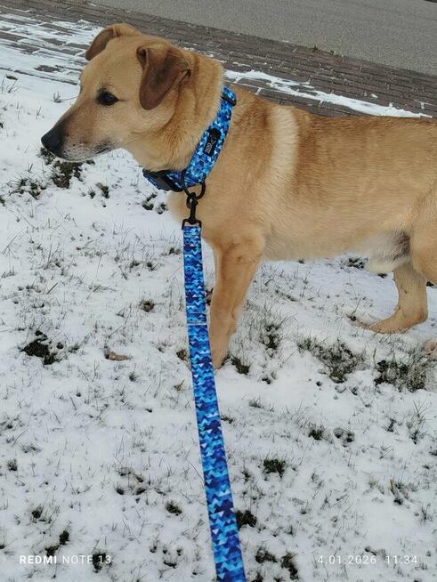 Pamiętacie jeszcze może Zgrywuska????? W tym roku wybija mu 10