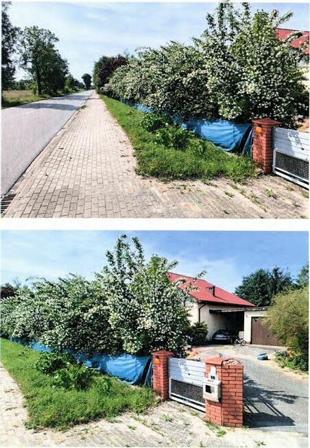 Nieruchomość - Granowiec