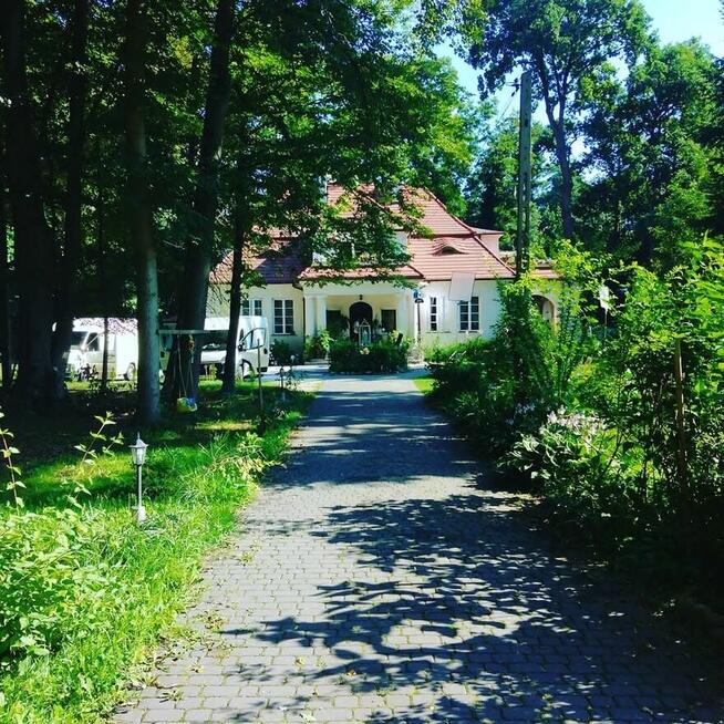 Wynajmę górę domu 70 m2 lub 100m2 na tylko biuro