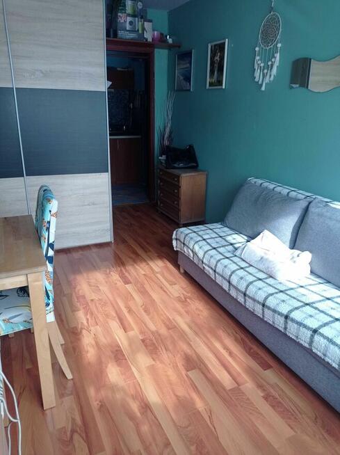 Mieszkanie od właściciela na wynajem.