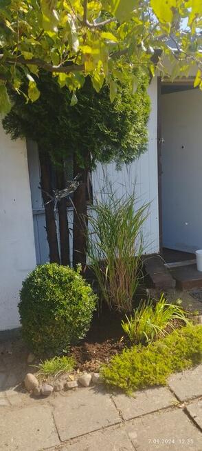 Sprzedam działkę ROD