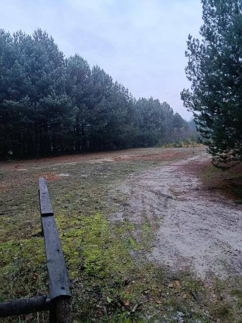 Sprzedam działkę na wsi