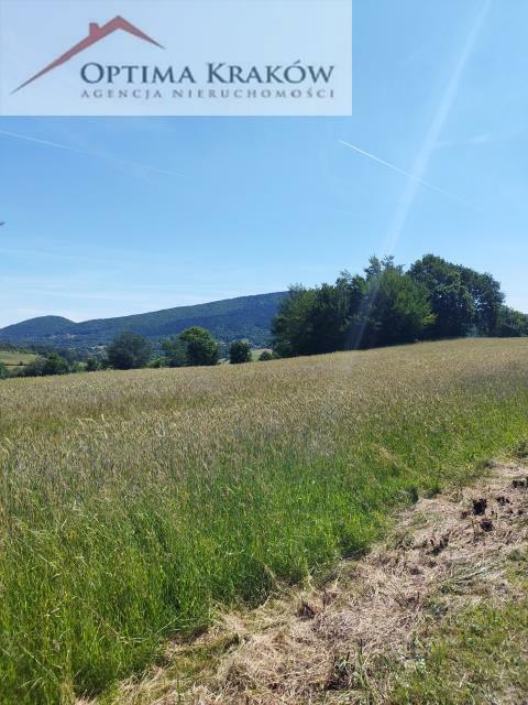 Działka rolna Kobielnik gm. Wiśniowa