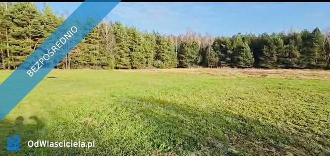 Dom siedlisko posiadłość z dużym potencjałem pod lasem z szeroką dzałką