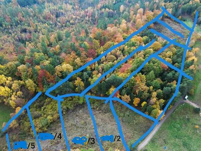 Dzialka budowlana prywatny las przy LP kolo Egiertowa