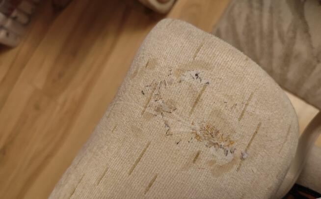 Meble pokojowe, kanapa z dwoma fotelami, stolik