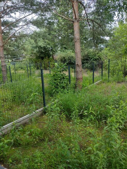 Dom w zabudowie szeregowej w Bieniewicach