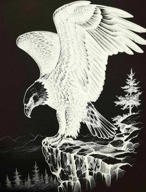 Obraz na ścianę .Płótno czarne -orzeł na skale