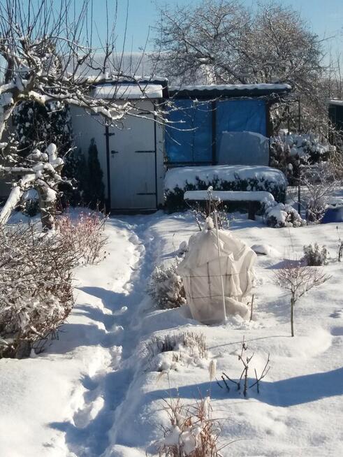 Sprzedam działkę ROD