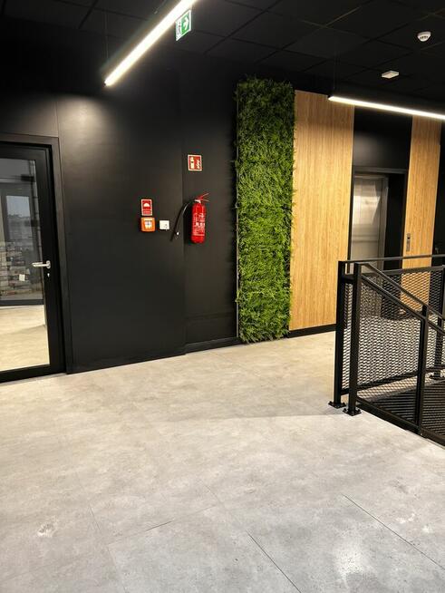 Lokal 31 m2 do wynajęcia -Stan deweloperski