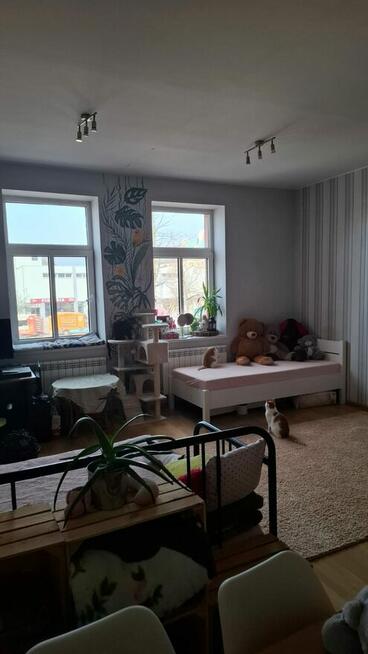 Mieszkanie 80m2 w kamienicy na rynku w Tarnobrzegu