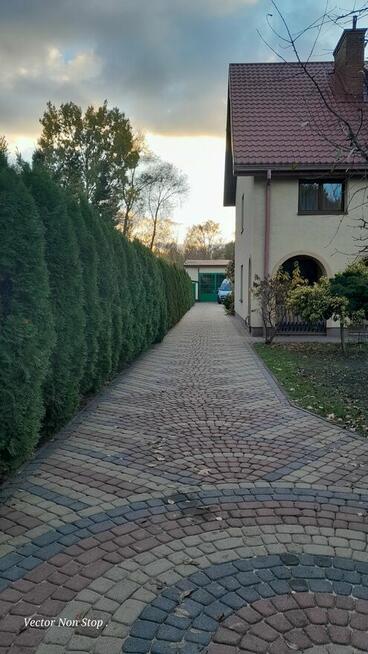 Wynajem pokoju - Złotokłos